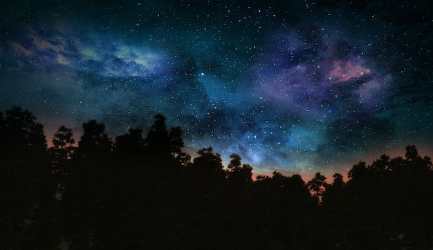 Rendering 3D di un paesaggio di alberi astratti con cielo spaziale