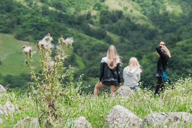 Retrovisione degli amici femminili che si siedono insieme fronte montagna verde