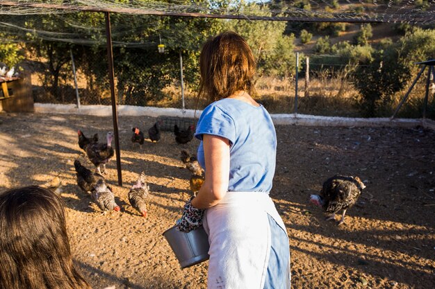 Retrovisione della donna che alimenta pollo che sta nel campo