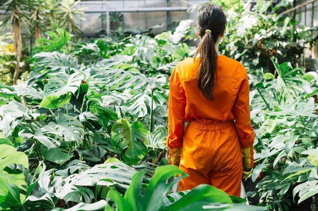Retrovisione di un giardiniere femminile in abiti da lavoro che stanno alla serra