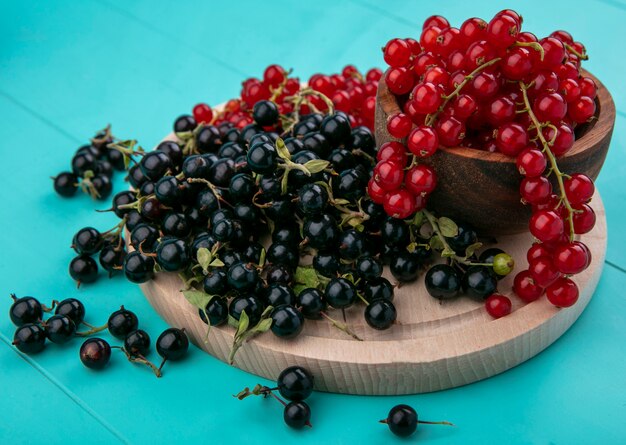 Ribes di vista laterale in una ciotola con il ribes nero su una lavagna su un fondo blu-chiaro