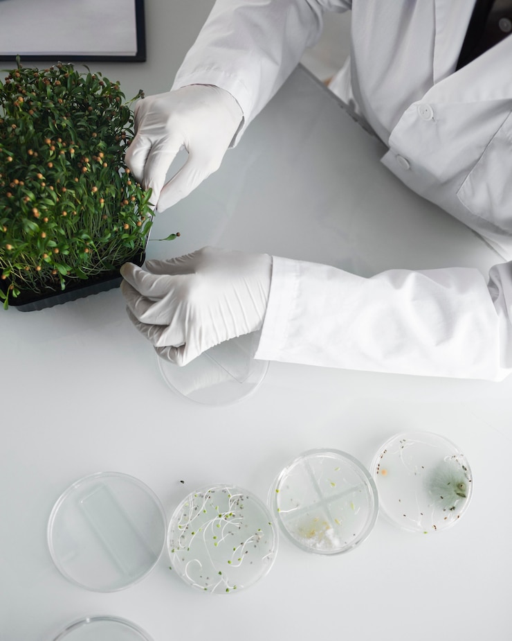 Foto gratuito ricercatore nel laboratorio di biotecnologie
