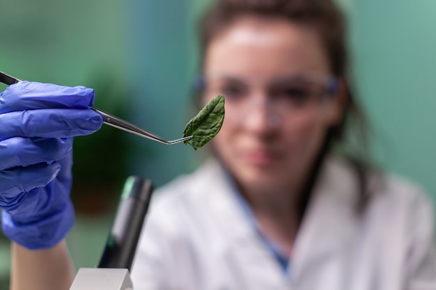 Ricercatore scienziato che esamina una foglia verde geneticamente modificata al microscopio