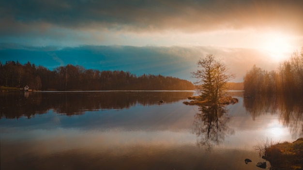 Riflessione degli alberi in un lago sotto l'incredibile cielo colorato catturato in Svezia