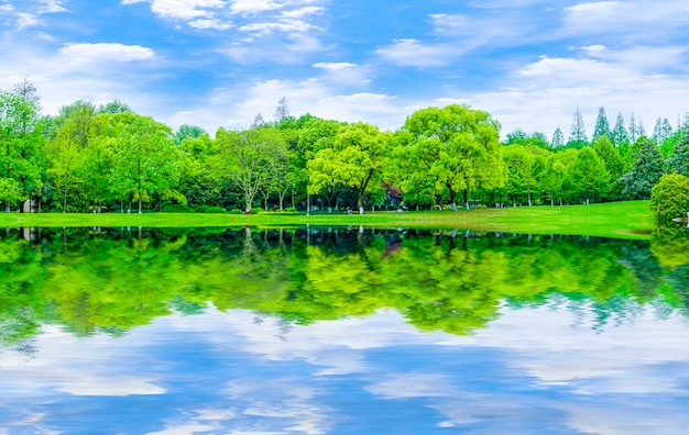 Riflessione giardino paesaggio prato astratto sfondo blu cielo e nuvole bianche