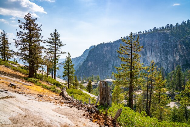 Ripido pendio di una scogliera a mezza cupola, la natura pittoresca del Parco Nazionale di Yosemite