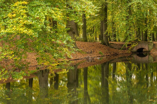 Ripresa a tutto campo di un lago in un parco pieno di alberi e un ponte di pietra in una giornata nuvolosa