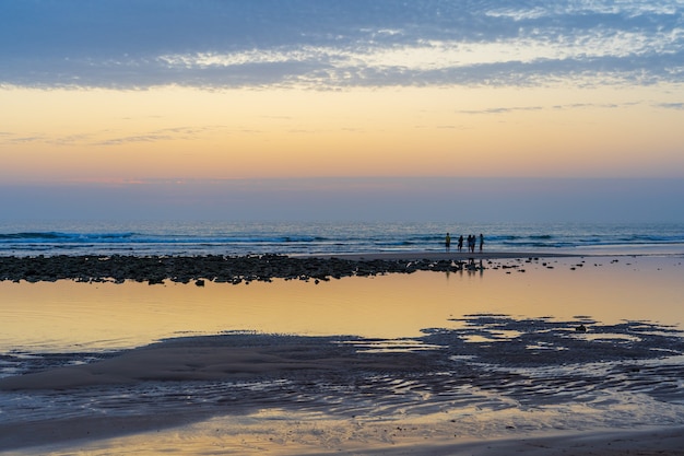 Ripresa a tutto campo di una bellissima spiaggia a zahora in spagna