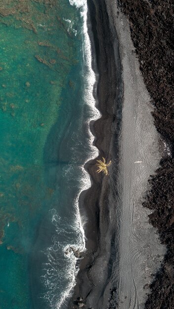 Ripresa aerea aerea verticale della costa del mare con onde incredibili e una palma