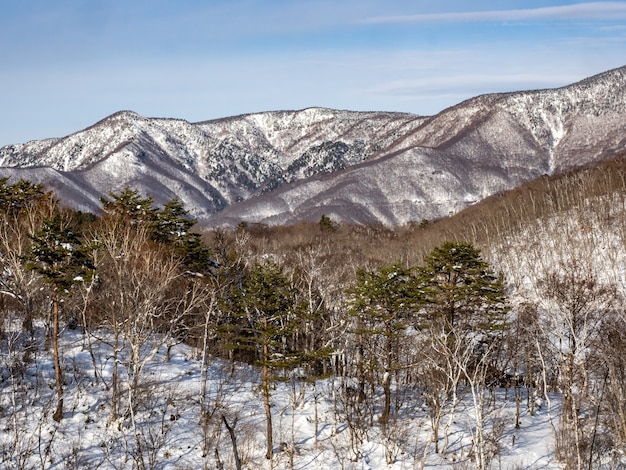 Ripresa aerea del fianco della montagna Shiga Kogen danneggiato nella prefettura di Nagano, Giappone