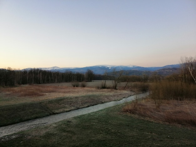 Ripresa aerea del fiume stretto nella foresta durante il tramonto a Jelenia Góra, Polonia.