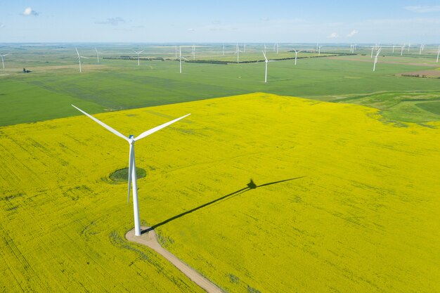 Ripresa aerea del generatore eolico in un grande campo durante il giorno