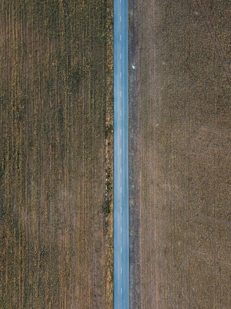 Ripresa aerea della lunga autostrada circondata da campi in Portogallo