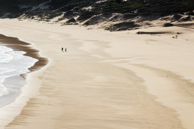 Ripresa aerea di due persone che camminano nella bellissima spiaggia in riva al mare