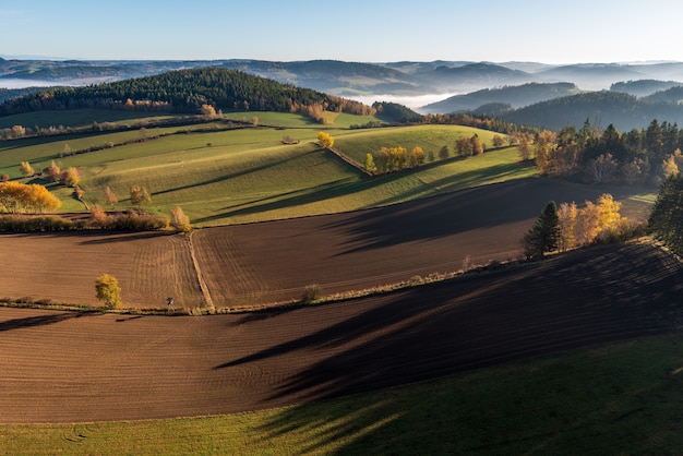 Ripresa aerea di un bellissimo paesaggio verde con molti alberi e colline erbose