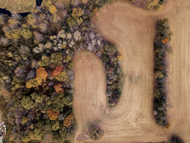 Ripresa aerea di un campo erboso asciutto vicino a alberi di colore diverso
