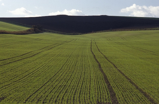 Ripresa aerea di un campo erboso con una montagna in lontananza nel Wiltshire, Regno Unito