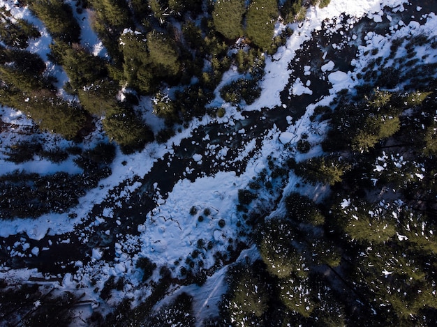 Ripresa aerea di un fiume ghiacciato nella foresta in inverno