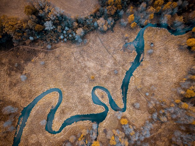 Ripresa aerea di un fiume nel mezzo di un campo erboso secco con alberi grandi per lo sfondo