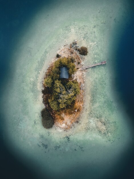 Ripresa aerea di un'isola con alberi e una casa con un molo in legno in mezzo al nulla