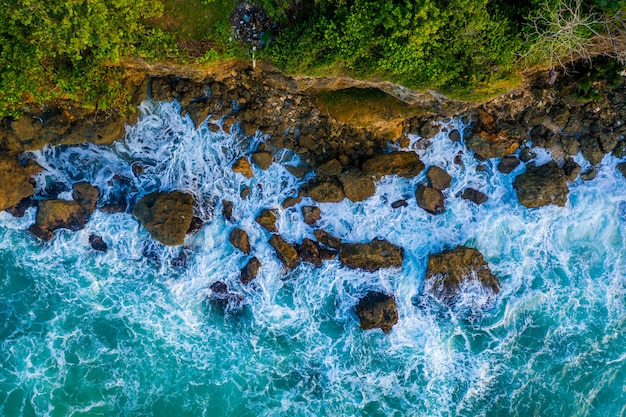 Ripresa aerea di una bellissima costa ricoperta di verde sotto la luce del sole