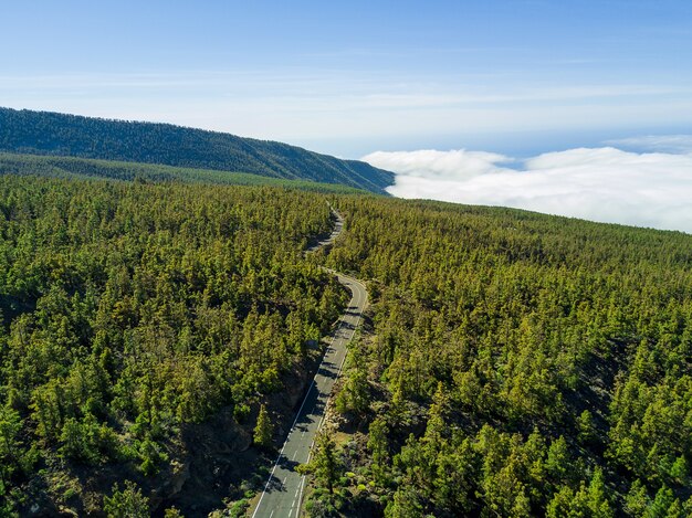 Ripresa aerea di una lunga strada attraverso il bosco verde, scenico paesaggio di nuvole sullo sfondo