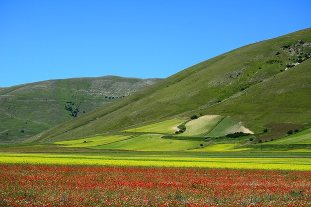 Ripresa orizzontale del paesaggio mozzafiato e colorato del villaggio di Castelluccio