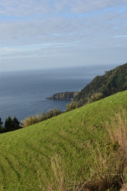 Ripresa verticale ad alto angolo di un mare catturato dalla collina ricoperta di alberi durante il giorno