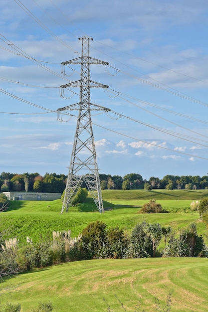 Ripresa verticale della torre elettrica ad alta tensione con prato verde in primo piano