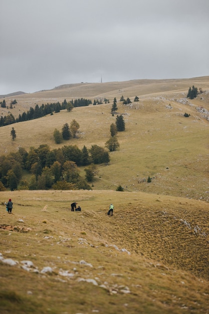 Ripresa verticale di persone sulla montagna di Vlasic, Bosnia in una giornata uggiosa