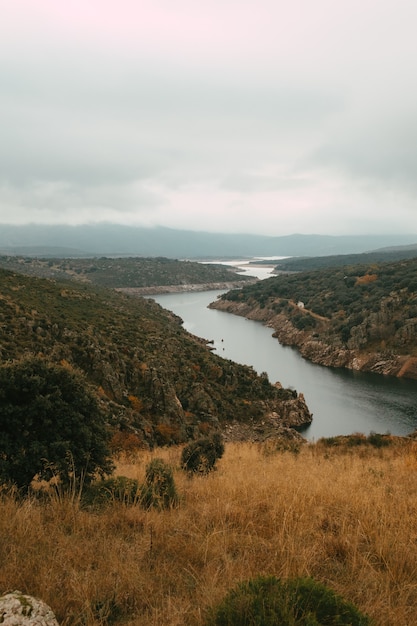 Ripresa verticale di un lago calmo circondato da alberi sotto un cielo nuvoloso