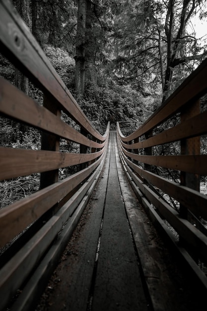 Ripresa verticale di un ponte di legno in una foresta coperta di alberi alla luce del giorno