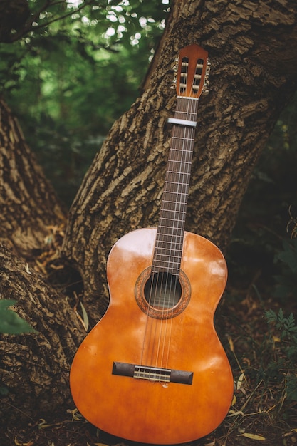 Ripresa verticale di una chitarra appoggiata al tronco di un albero nel mezzo di una foresta