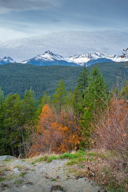 Ripresa verticale di una foresta autunnale circondata da uno scenario montuoso in Canada