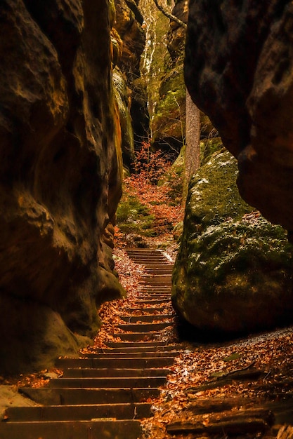 Ripresa verticale di una scala tra enormi rocce nella foresta nel Parco nazionale della Svizzera sassone