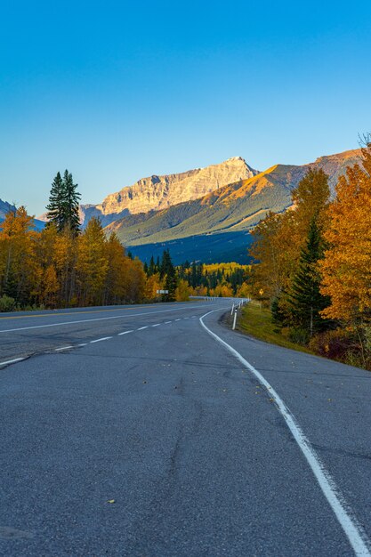 Ripresa verticale di una strada autostradale vuota insieme ad alberi autunnali a Kananaskis, Alberta, Canada