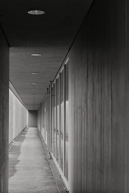 Ripresa verticale in scala di grigi di un lungo corridoio all'interno di un edificio con porte in vetro trasparente