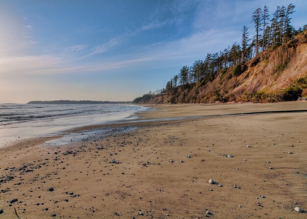 Riserva del parco nazionale del Pacifico