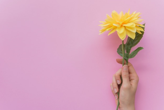 Ritaglia la mano con un bel fiore