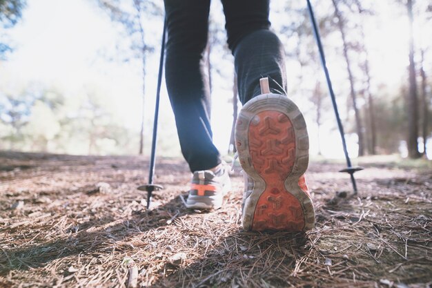 Ritagliare le gambe camminando nella foresta