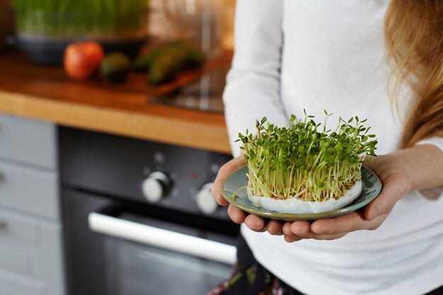 Ritagliata colpo di una donna che tiene tra le mani un piattino con micro verdi germogli biologici coltivati in casa contro l'interno della cucina accogliente. Concetto di cibo crudo sano. Copia spazio per il testo. Messa a fuoco selettiva