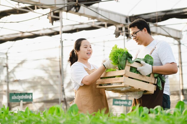 Ritratto dell'uomo e della donna dell'agricoltore asiatico che tengono la scatola di legno piena di verdure crude fresche. Concetto di fattoria biologica.