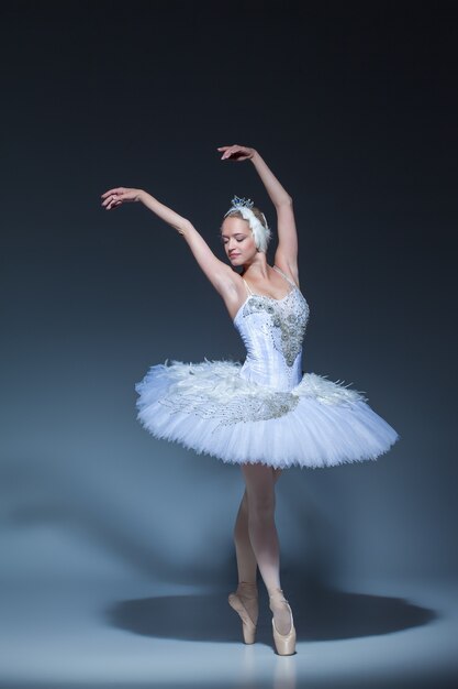 Ritratto della ballerina nel ruolo di un cigno bianco su sfondo blu