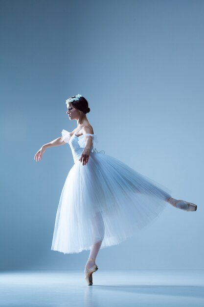 Ritratto della ballerina sulla parete blu