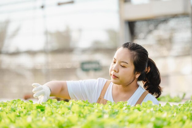 Ritratto di donna contadina asiatica che esamina verdura in campo e controlla la qualità del raccolto. Concetto di fattoria biologica.