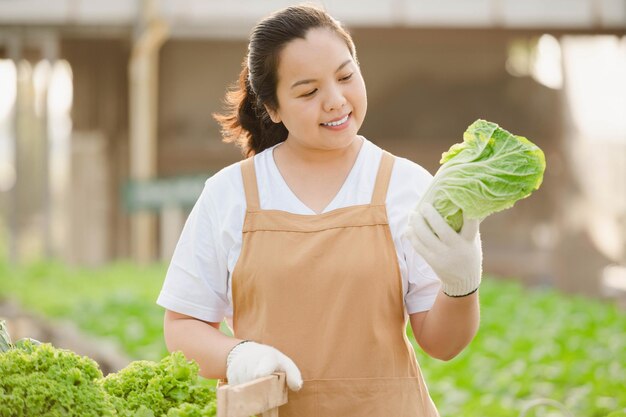 Ritratto di donna contadina asiatica che esamina verdura in campo e controlla la qualità del raccolto. Concetto di fattoria biologica.