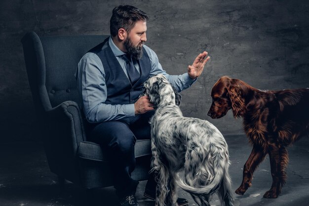 Ritratto di elegante maschio barbuto si siede su una sedia e i suoi due cani setter irlandesi.