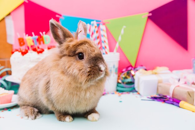 Ritratto di un coniglio con cappello piccolo partito seduto davanti alla torta di compleanno