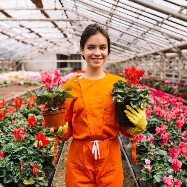 Ritratto di un giardiniere femminile felice che tiene i vasi da fiori rosa e rossi di ciclamino