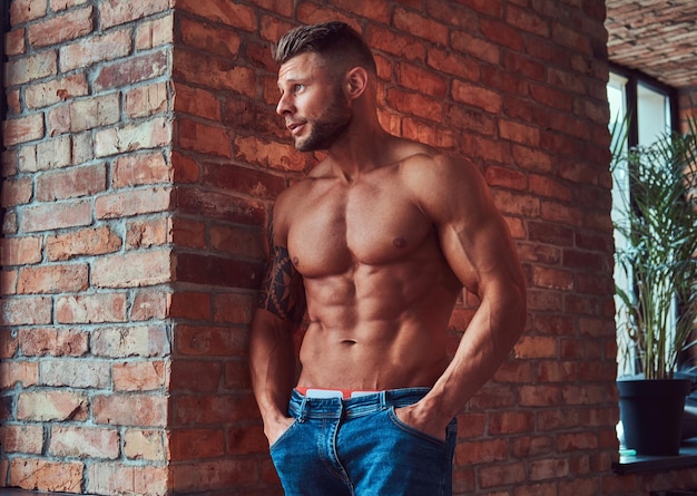 Ritratto di un maschio forte e bello senza camicia con un corpo muscoloso, indossa jeans, appoggiato a un muro di mattoni in una stanza con interni soppalcati.